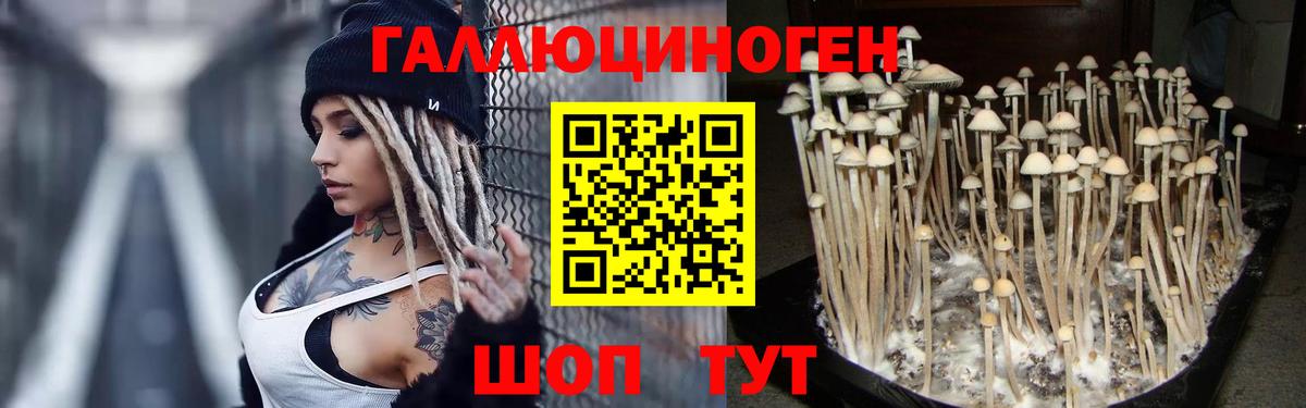 Псилоцибиновые грибы Magic Shrooms Осинники