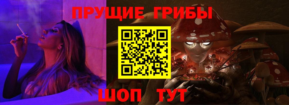 хочу   Галлюциногенные грибы мицелий  Осинники  Вход с VPN  Галлюциногенные грибы мицелий 